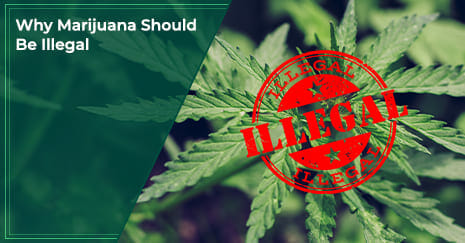 Why Marijuana Should Be Illegal