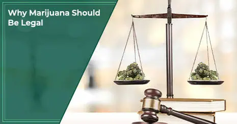 Why Marijuana Should Be Legal