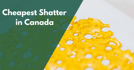 Cheapest Shatter Online in Canada