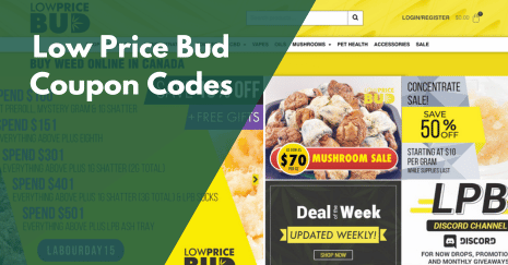 Low Price Bud Coupon Codes